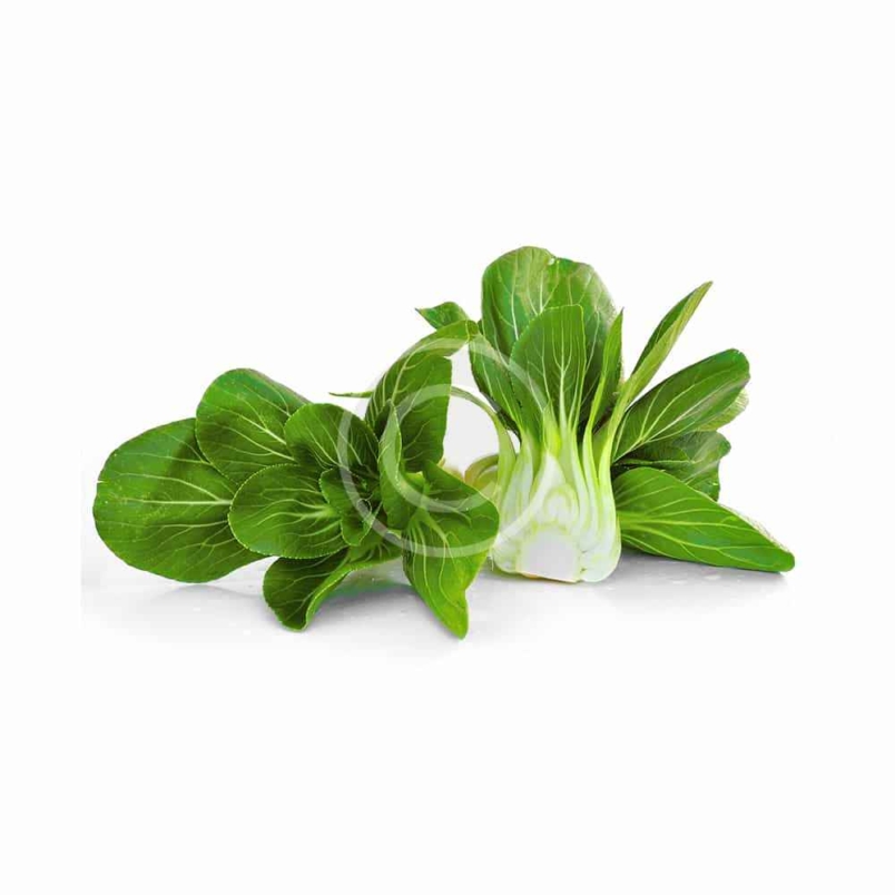 Chinese Cabbage